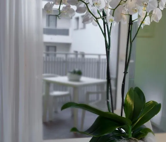 公寓式酒店 Aurora 4*