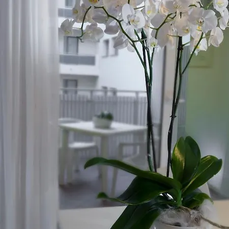 Apartahotel Aurora 4*